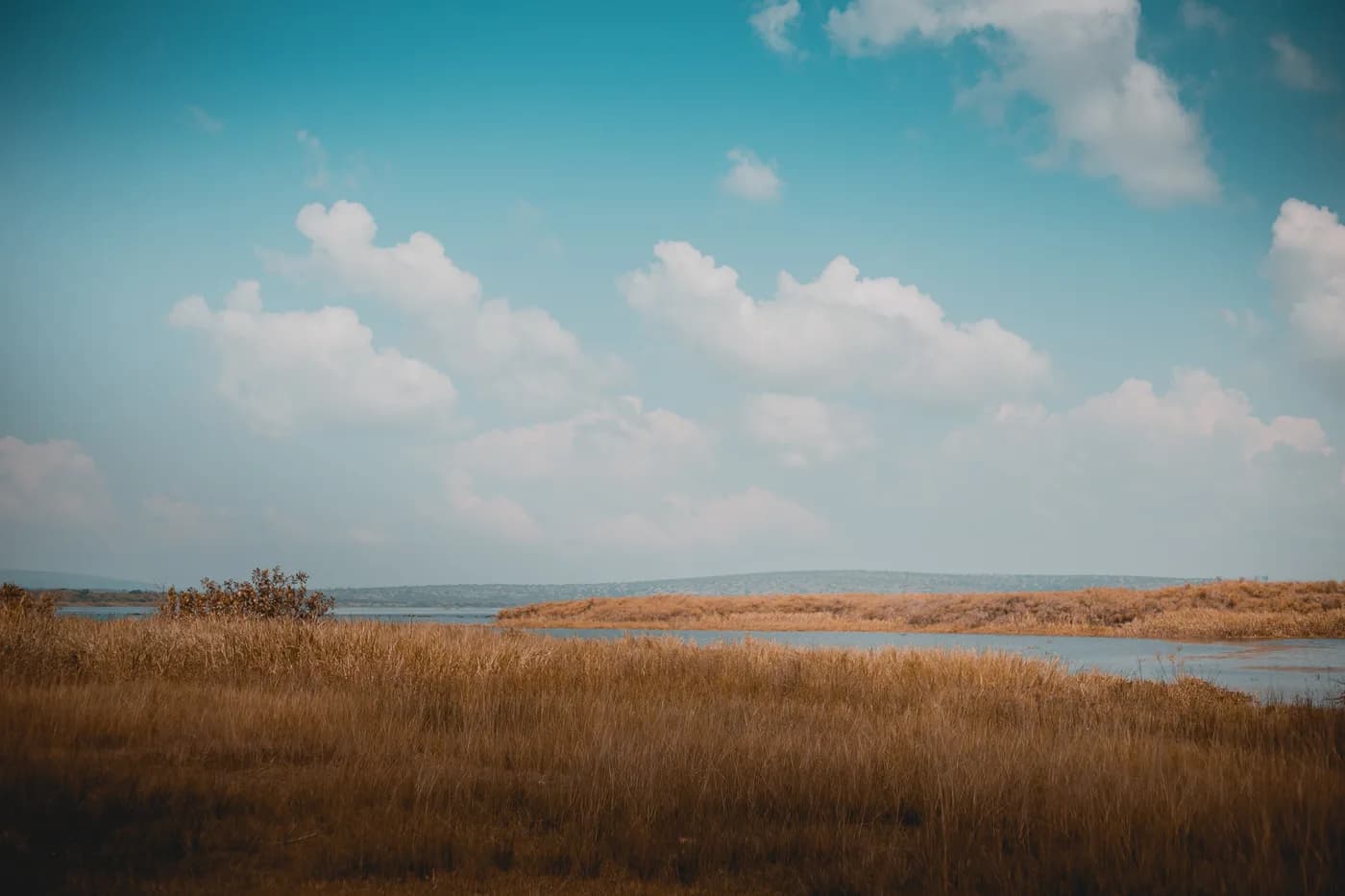 Wildlife landscape in Akagera National Park