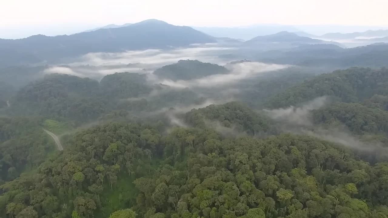 Mist rolling over Rwanda’s forested hills